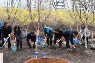 제74회 식목일기념 나무심기 대표이미지