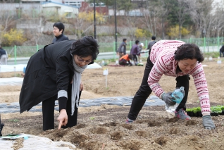 2019년도 성동무지개텃밭 개장식 대표이미지
